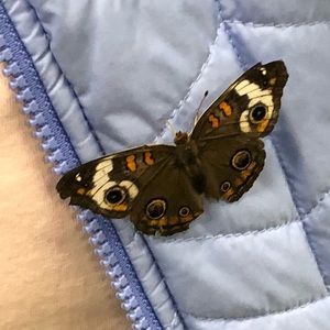 Meet your Posher, Devon